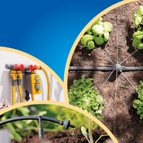 Automatic Watering 2 e1647271125382