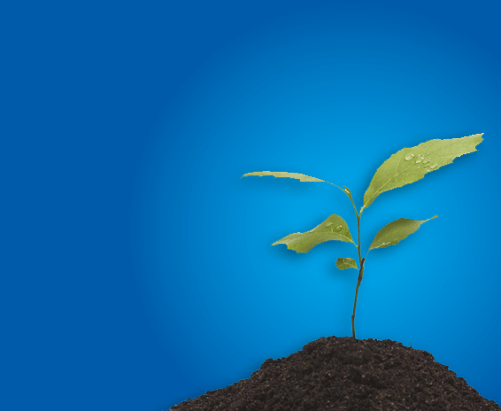 Guide to Composting 4