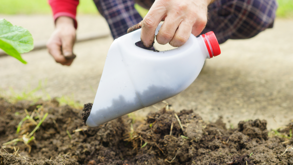 Get Creative: Gardening Projects - Letting Creativity Run Wild in the Garden