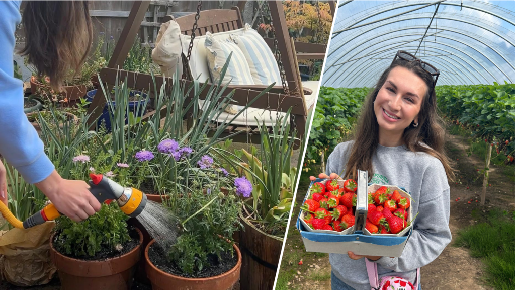 7 Watering Tips for a Healthier Garden From @bethsgardendiary