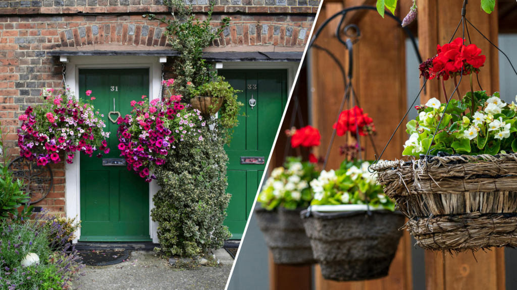 Hanging Basket Tips