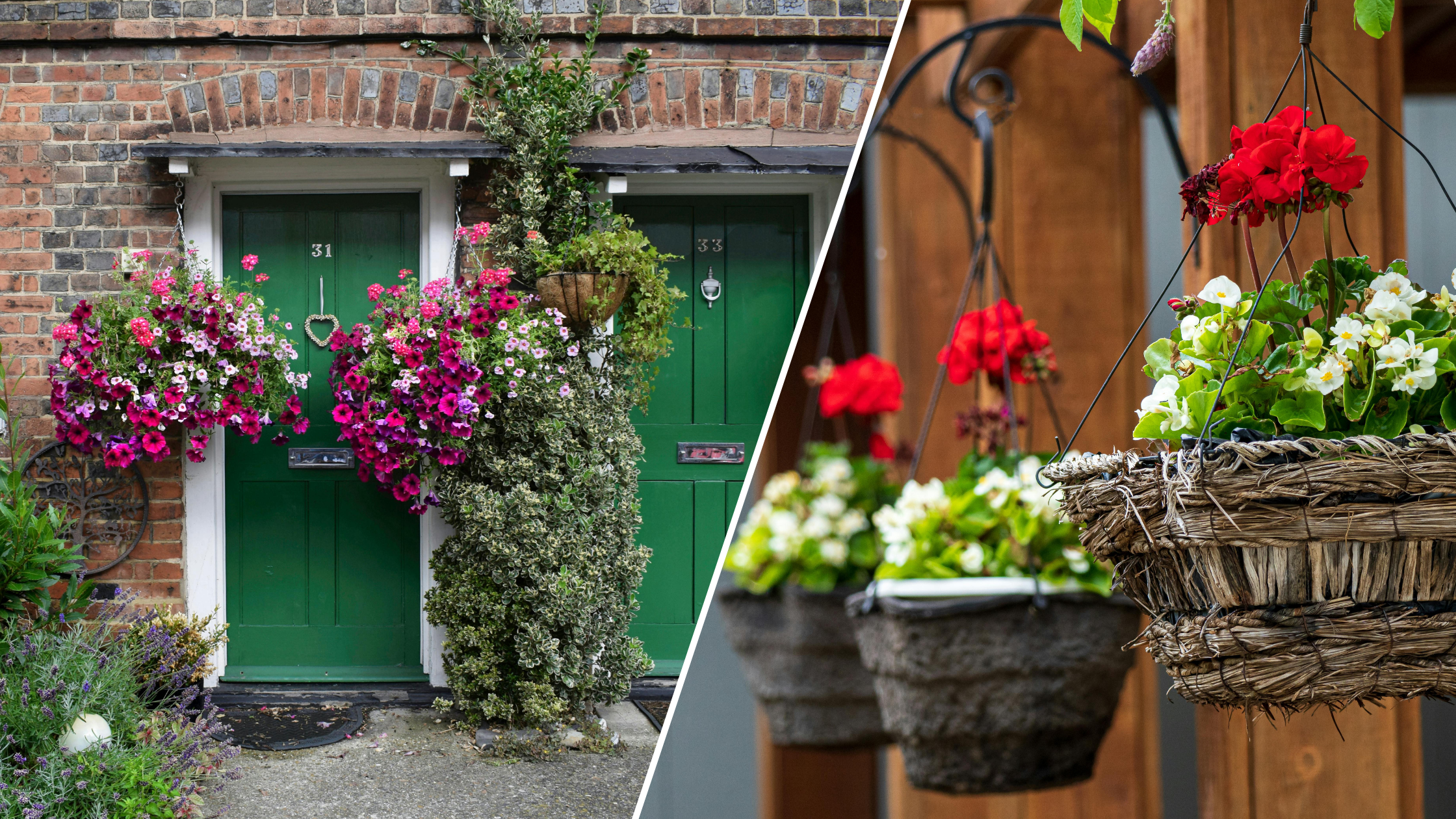 Hanging Basket Tips