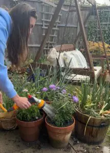 Multi Spray Gun - @bethsgardendiary Multi Spray Gun - @bethsgardendiary