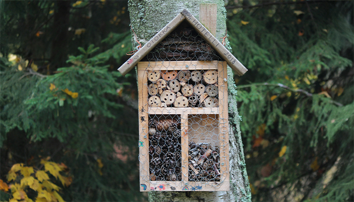 Bug Hotel Bug Hotel