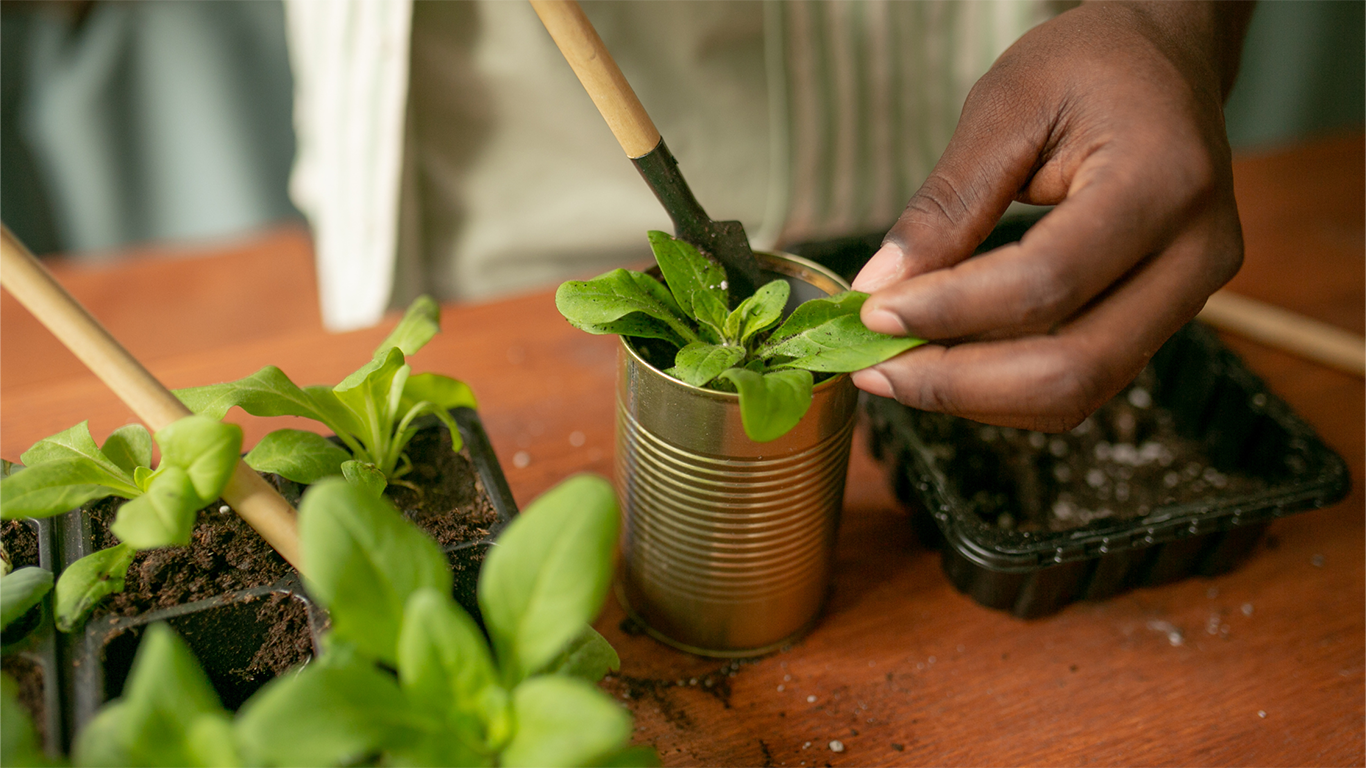 Garden Crafts & DIY Projects: Upcycle Your Way to a Greener Garden