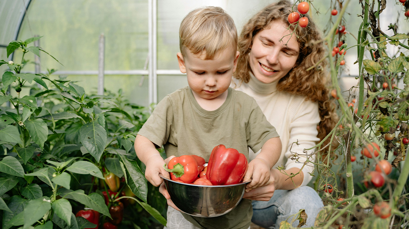 Gardening with Kids Over the Summer Holidays: Fun, Easy & Educational Ideas