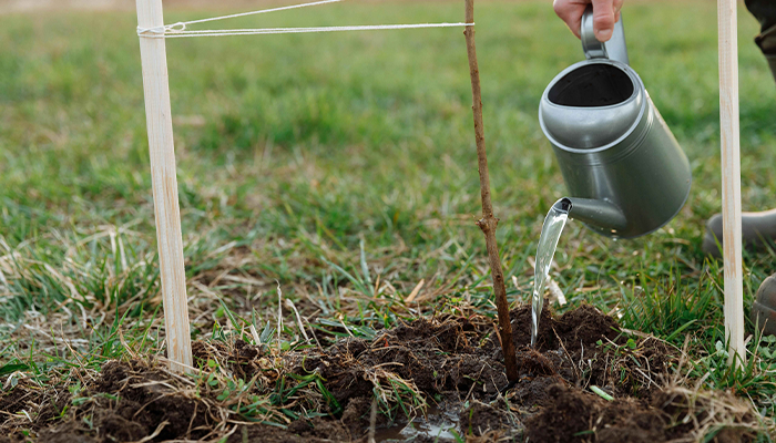 Rotate Watering Rotate Watering