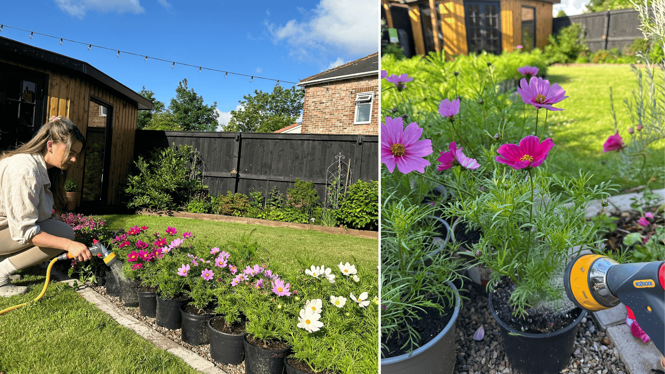 Top Tips for Summer Watering Routines: A Guide by @insammysgarden_