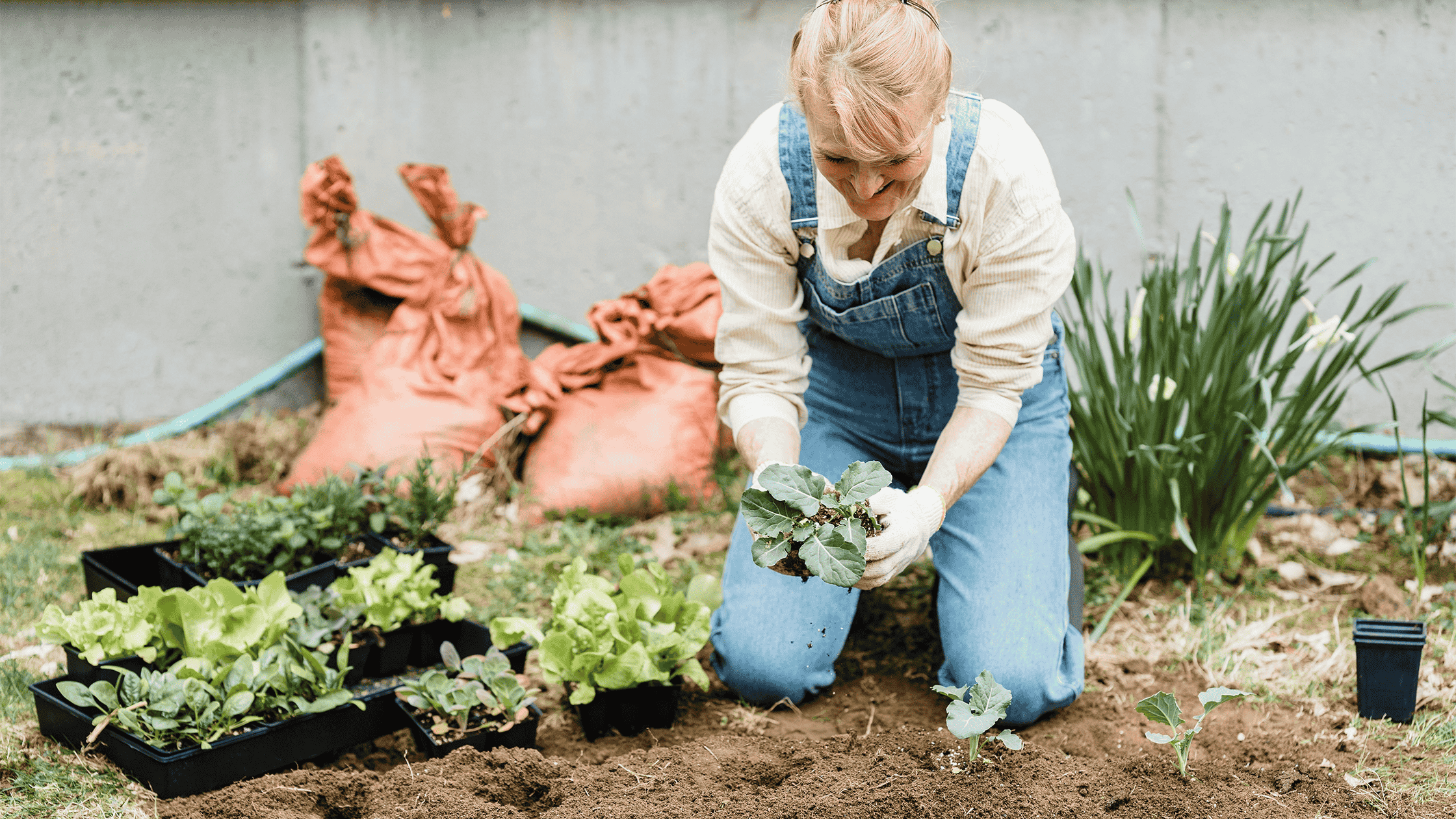 7 Ways Gardening Boosts Your Immune System and Overall Wellbeing