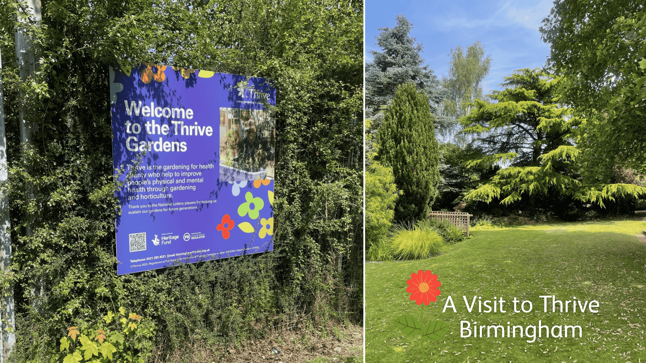 A Visit to Thrive Birmingham