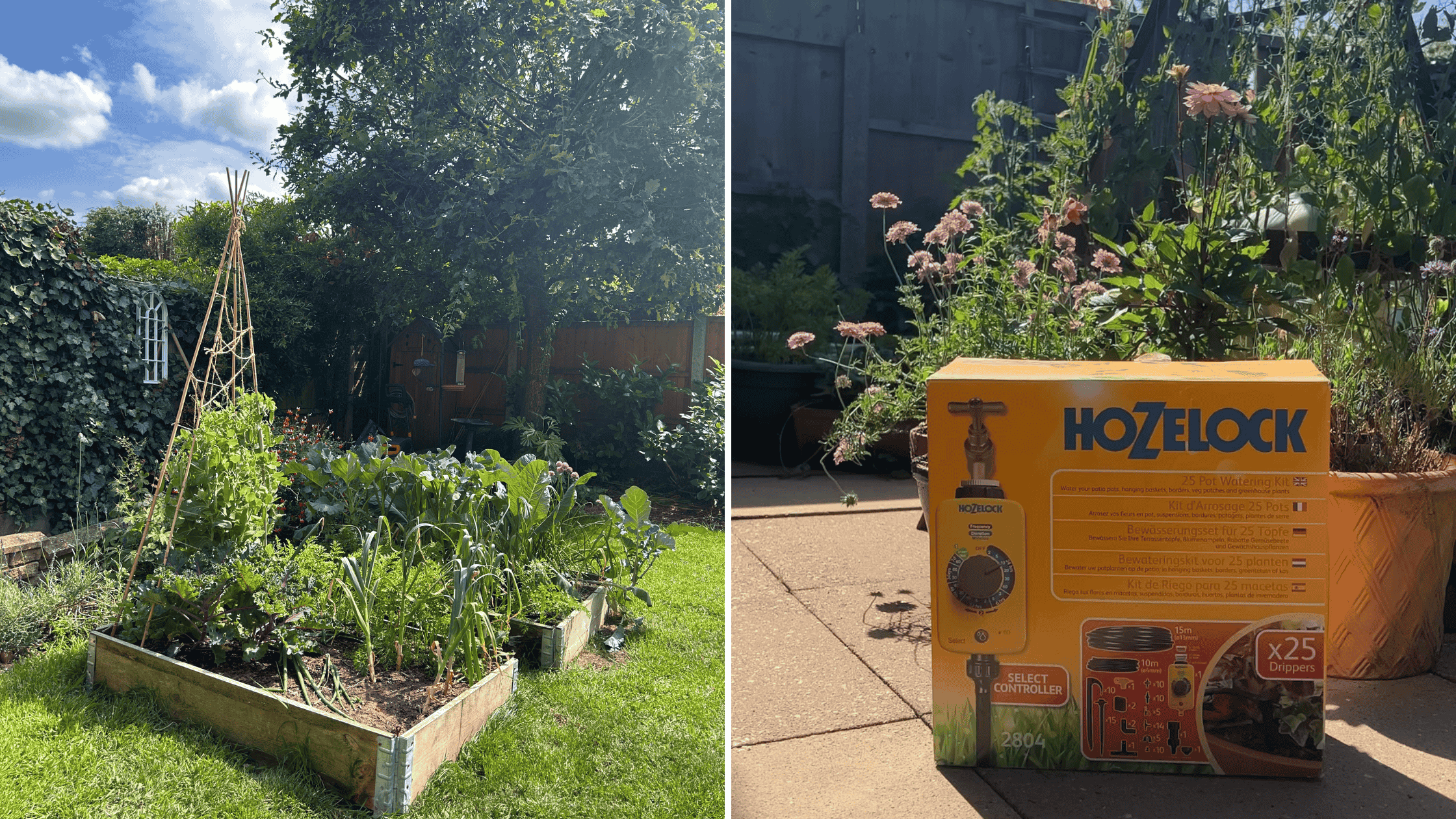 How to Prep Your Garden Before a Holiday With @bethsgardendiary
