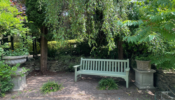 Mindful Mornings - Thrive