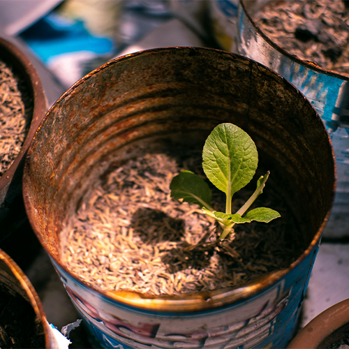 Recycled Plant Pot