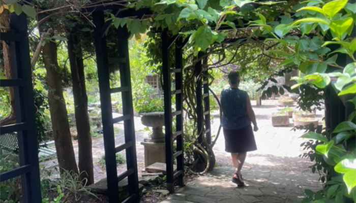 Surrounded by Greenery
