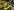 Pond Grabber 1 1754 Graber action