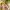 2042-ThreadedTap1_Conn8F08 2042-ThreadedTap1_Conn8F08