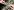 2044-DoubleMaleConn 2044 DoubleMaleConn