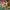 2170-FlatHoseConn 2170-FlatHoseConn
