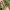 2291-DoubleMaleConn 2291-DoubleMaleConn