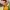 2299-ORing 2299-ORing