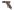 2696 Hozelock Jet Spray Gun