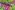 2764-SupplyTube13mm 2764-SupplyTube13mm