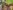 2785EndLinePresCompDripper 2785EndLinePresCompDripper