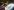 2292-HoseNozzleCar.jpg 2292 HoseNozzleCar