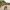2488 Lifestyle - Man Watering - 2 2488 Lifestyle Man Watering 2