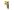 26911.jpg Hozelock Multi Plus Spray Gun