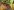 2784-PresCompDripper.jpg 2784 PresCompDripper