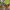 2785EndLinePresCompDripper.jpg 2785EndLinePresCompDripper.jpg