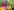 2798-360ºMSpklr.jpg 2798 360ºMSpklr
