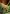 2817-WaterButtBorderKit.jpg 2817-WaterButtBorderKit.jpg