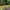Rectangular Sprinkler Plus Rectangular Sprinkler Plus