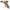 300x300-illos-2696-soft 300x300 illos 2696 soft