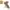 300x300-illos-2698-soft 300x300 illos 2698 soft