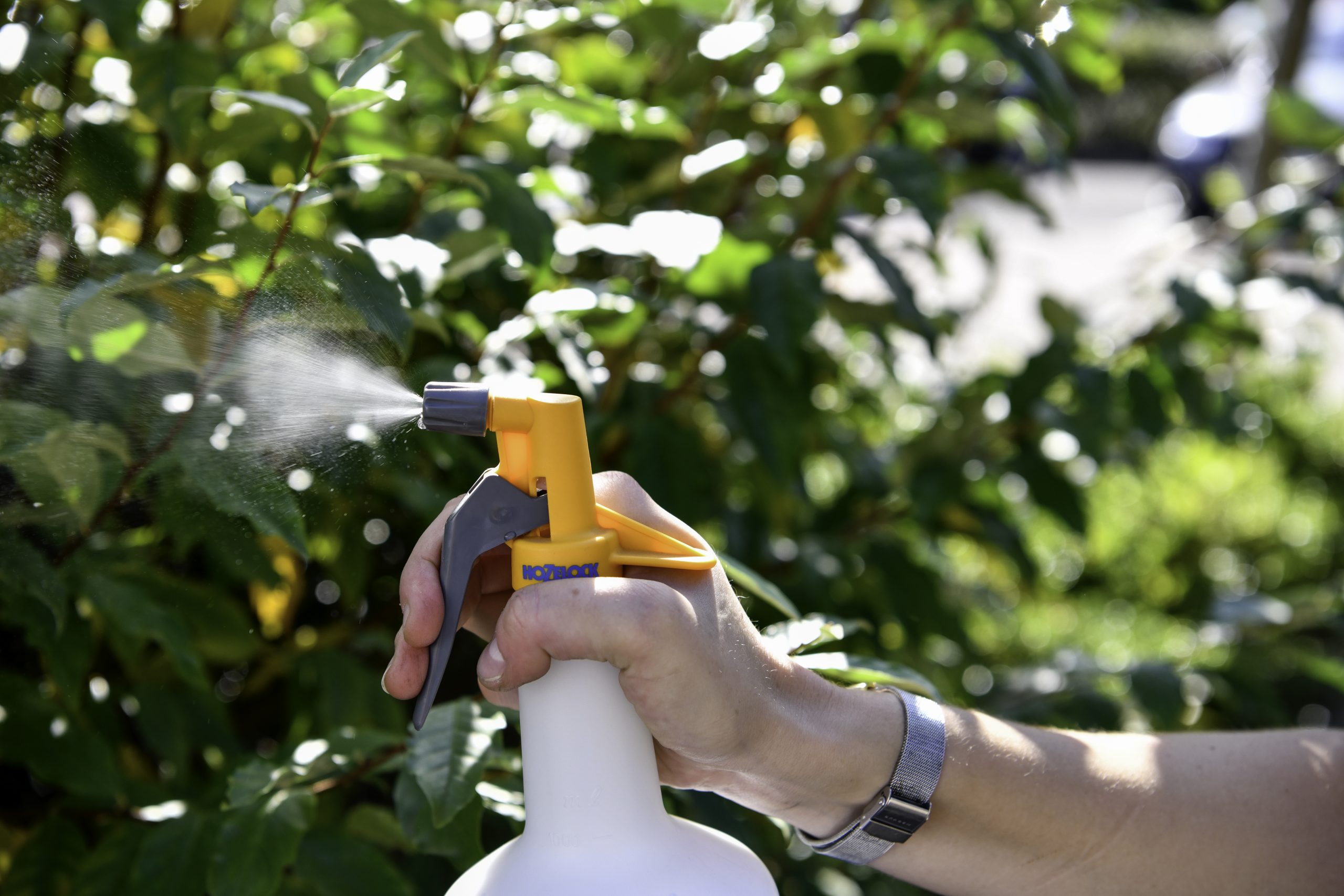 Hozelock Trigger Spraymist Sprayer 0.5 L Dampen Clothes Ironing Spraying Plants 