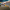 Brush-click'n connectsquare.jpg Cleaning