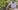 1352-BioforceRevolution-TurnHandle 1352-BioforceRevolution-TurnHandle