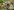 pond-lifstyle-300x223 pond lifstyle 300x223