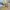 4193 - bokashi yellow 4193 - bokashi yellow