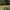 2974-SprayPattern-600x600 2974-SprayPattern-600x600
