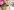 7012-7013-life-918x683 7012 7013 life 918x683