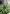 jude-smart-lE6z79guKI0-unsplash (1) jude smart lE6z79guKI0 unsplash 1