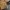 4193img2 4193img2