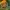 4193img3 4193img3