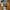4193img4 4193img4