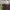 PXL_20210425_094157182.MP PXL_20210425_094157182.MP