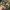 PXL_20210429_113422646.MP PXL_20210429_113422646.MP